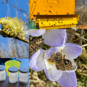 Digitale bijenkasten (3)